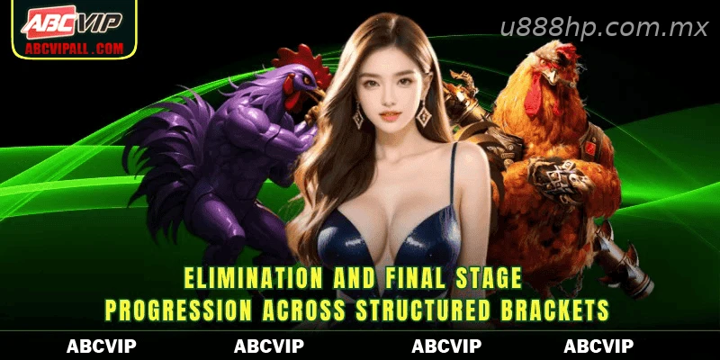 Elimination and final stage progression across structured brackets