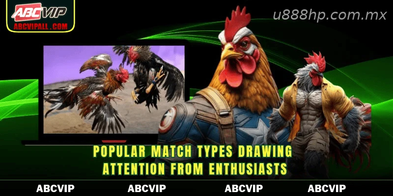 Popular match types drawing attention from enthusiasts