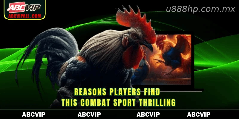 Reasons players find this combat sport thrilling
