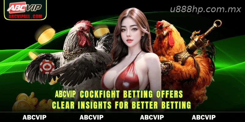 U888 cockfight betting offers clear insights for better betting